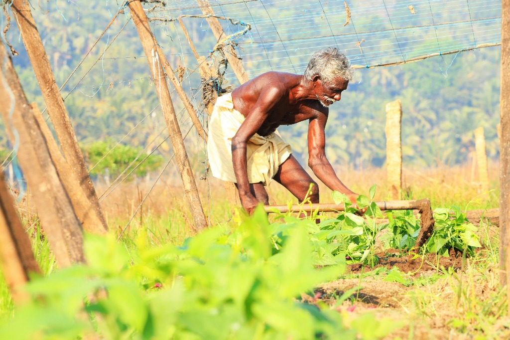 Generational Farm Heritage